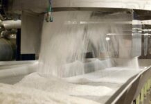 NSDC and NEXIM Partner to Secure $2 Billion Funding for Sugar Industry