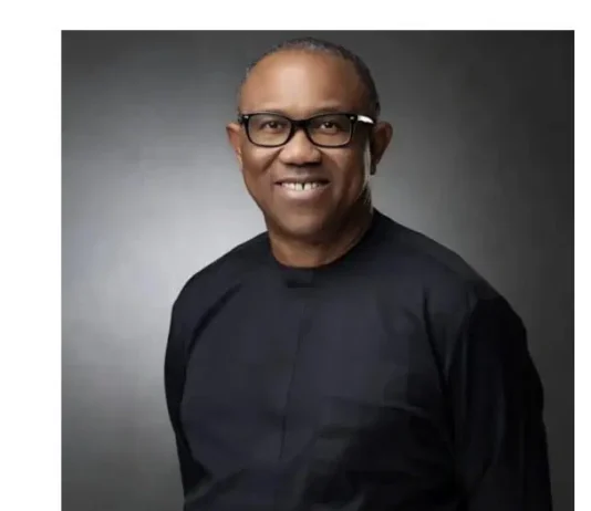 Diaspora Group Alleges Threats to Peter Obi’s Safety