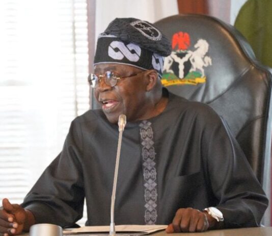 President Tinubu Renews Push for State Police to Tackle Insecurity