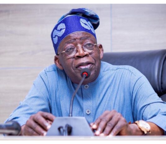 Federal Government Extends Export Ban on Raw Shea Nuts to Boost Local Industry