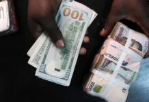 Naira Maintains Stability as Inflation Slows for Tenth Consecutive Month