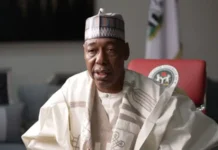 Security Alert: Two Suicide Bombers on the Loose in Maiduguri