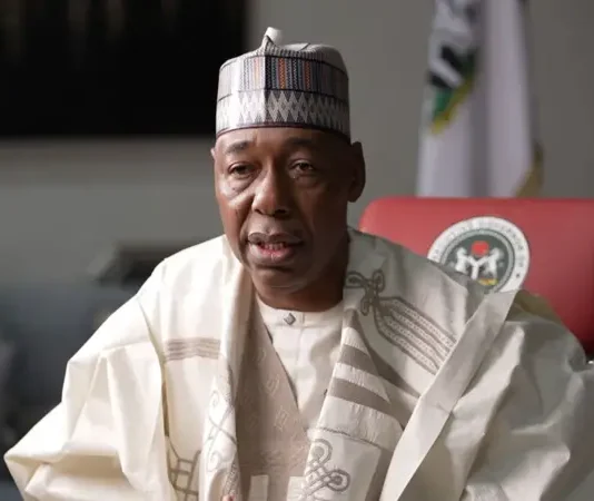 Security Alert: Two Suicide Bombers on the Loose in Maiduguri