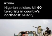 Security Forces Neutralize 60 Terrorists in Borno State Operations