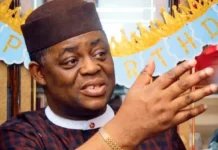 Fani-Kayode Dismisses Reports of Ambassadorial Rejection by Germany