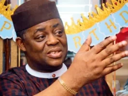 Fani-Kayode Dismisses Reports of Ambassadorial Rejection by Germany