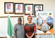 Togo Seeks Expanded Electricity Imports from Nigeria’s NDPHC