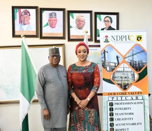 Togo Seeks Expanded Electricity Imports from Nigeria’s NDPHC