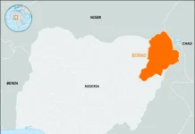 Fresh Insecurity Concerns as Terror Groups Set Up New Bases in Borno