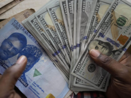 Nigerian Diaspora Remittances Surge Following FX Policy Shifts