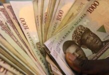 Naira Maintains Stability as Foreign Reserves Hit 13-Year Peak