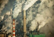 Nigeria Becomes Africa’s Hub for Indigenous Industrial Growth