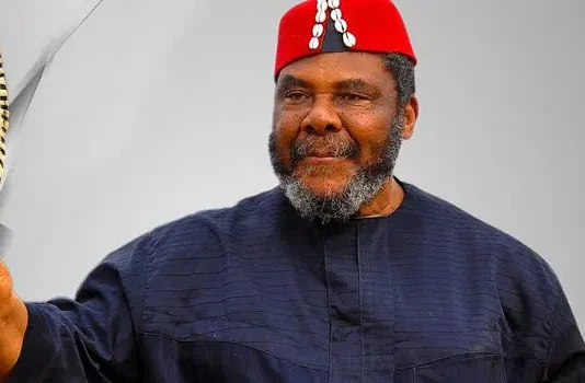 Nollywood Veteran Pete Edochie Decries ₦40,000 Daily Electricity Cost