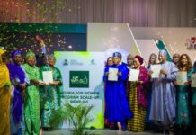 Diplomacy & Diaspora: Nigeria Declares 2026 ‘Year of Families’ at UN Session