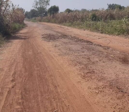 Executive Council Greenlights Six Strategic National Road Projects