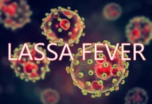 Lassa Fever Outbreak Claims 10 Lives in Benue State