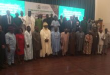 Nigeria Targets 10% Global Palm Oil Share in New Sector Reset