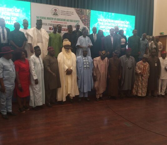 Nigeria Targets 10% Global Palm Oil Share in New Sector Reset