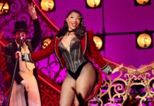 Megan Thee Stallion Rushed to Hospital After Mid-Performance Medical Emergency
