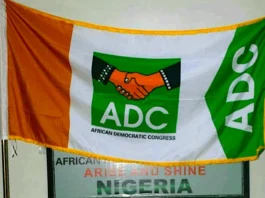 Leadership Tussle Fractures ADC as New Faction Endorses INEC