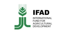 IFAD to Partner with Vanguard for 2026 Economic Discourse in Lagos
