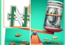 Naira Maintains Stability Against Dollar Amid Sustained Demand