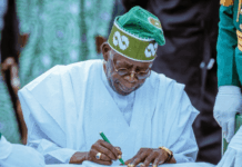 Tinubu Shakes Up Oil Sector with New NMDPRA Chief Nomination