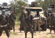 Insurgents Kill 18 Farmers and Woodcutters in Borno State
