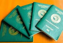 Identity Crisis: Nigeria to Deactivate Passports of Citizens Denouncing Status