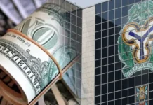 Central Bank Reports Surge in Daily Foreign Exchange Turnover Beyond $400 Million