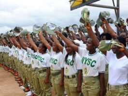 Federal Youth Service Corps Issues Strict Digital Conduct Warning to Serving Members