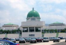 Governors Consolidate Power by Tightening Grip on 2027 Senate Tickets