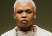 Mavin Star Boy Spyce Ignites Fan Frenzy with Red Pill Project Announcement