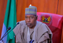 Civil Society Groups Demand Total Overhaul of Borno Security Architecture