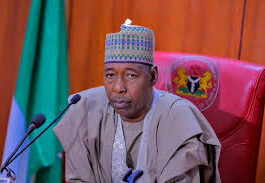 Civil Society Groups Demand Total Overhaul of Borno Security Architecture