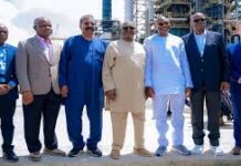 Business Mogul Liquidates Power Assets To Fund Massive Petrochemical IPO