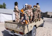 Boko Haram Ambush Leaves 23 Soldiers Dead in Lake Chad Basin