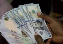 Naira Exhibits Steady Consolidation Against US Dollar Across Official and Parallel Forex Markets