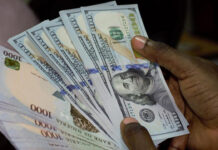 Foreign Exchange Conundrum Eases as Naira Stabilizes in Narrowing Official and Parallel Market Spread