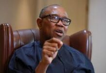 PETER OBI SHIELDS PASTOR ADEBOYE, CAUTIONING YOUTHS AGAINST ETHNIC POLARIZATION