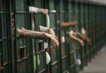Former Inmates Urge Federal Government to Assist Over 30 Nigerians Detained in Tanzania
