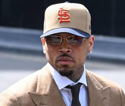 Chris Brown Pleads Guilty to Affray Over 2023 London Club Incident, Avoiding Major Trial