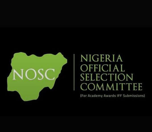 Nigerian Official Selection Committee Demands Global Standards Over Mere Oscar Target Chasing