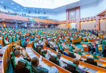 House of Representatives Demands Compensation for Affected Nigerians in South Africa