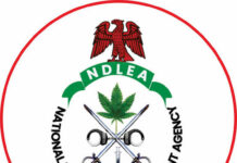 Antinarcotics Agency Intercepts Mass Tramadol Cargo and Dismantles Crime Syndicate