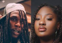 Burna Boy and Tems Earn Major Nominations for 2026 MTV Video Music Awards