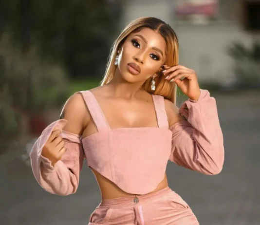 Mercy Eke Sparks Online Debate Following Bold High-Fashion Red Carpet Appearance