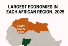 Sub-Saharan African Economies Navigate Global Financial Shocks Amid Trade Realignments