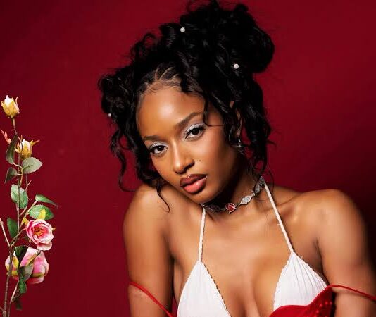 South African Mission Clarifies Historic Visa Discrepancy Involving Music Star Ayra Starr