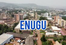 Enugu State Security Operatives Rescue Abducted Catholic Seminarian and Worshippers Following Church Invasion